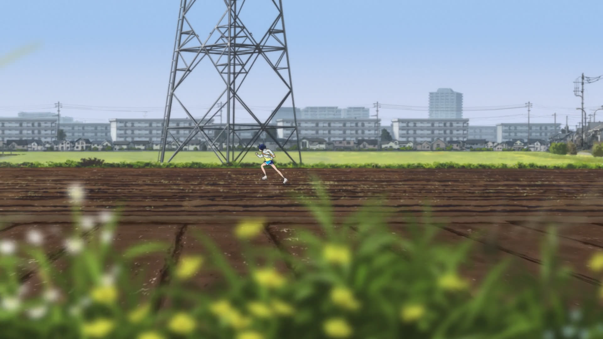 小爱在西岸的田野上奔跑