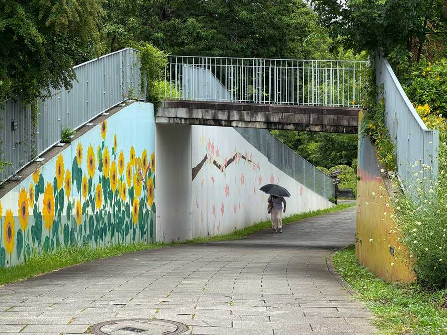 hana no oka bridge photo