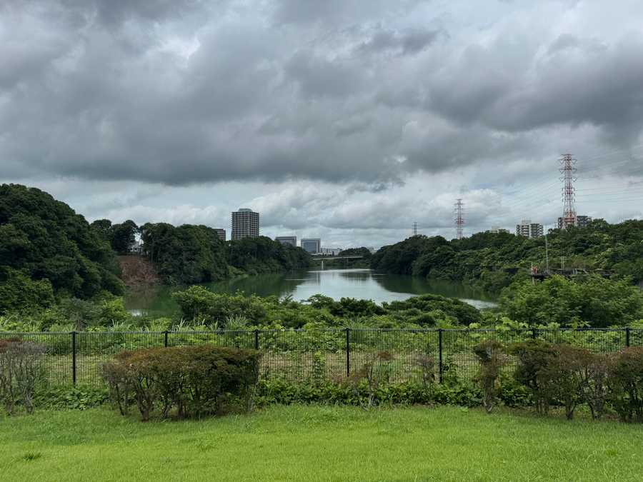 从调整池南端的广场对面的ニュータウン大橋