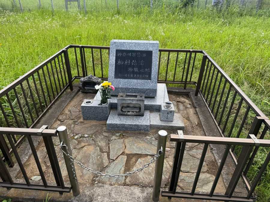 stele2