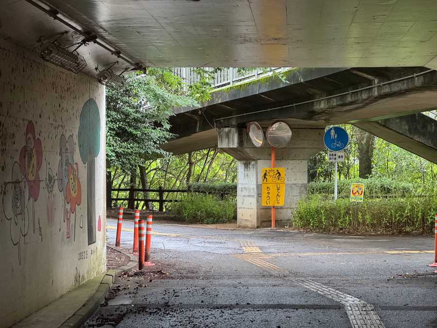 newtown underpass 2 throw photo photo
