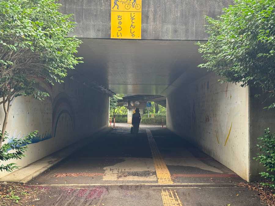 newtown underpass 2 photo