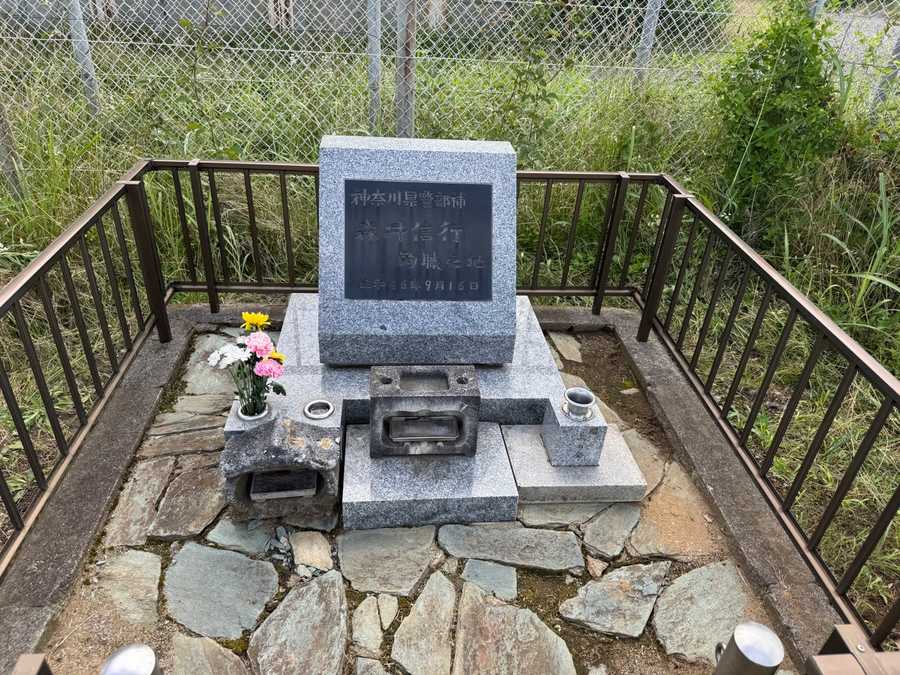 stele1